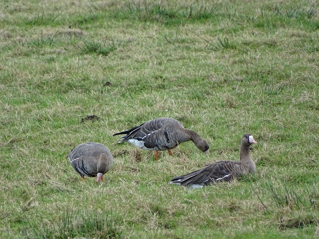 进一步明确 进一步明确