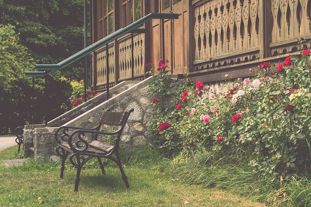 他们的胜利 他们的胜利